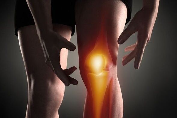 The knee joint is joint joint